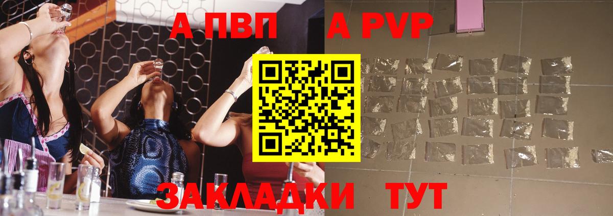 A PVP СК Новосибирск