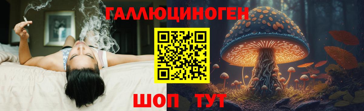 Галлюциногенные грибы MAGIC MUSHROOMS  Вход с VPN  Псилоцибиновые грибы Magic Shrooms  Новосибирск 
