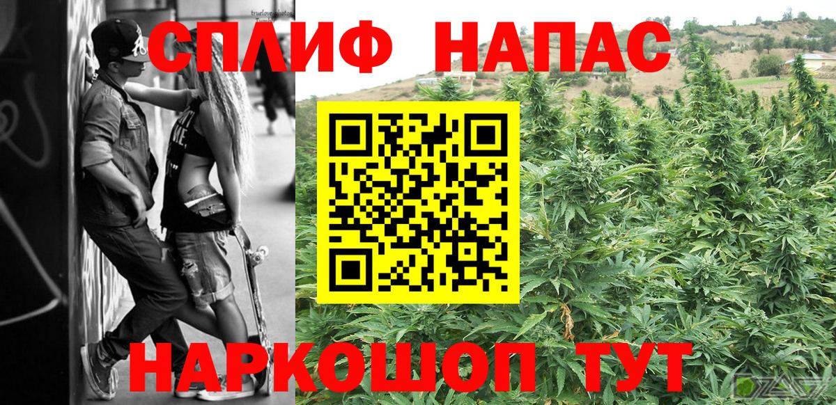 Канабис семена Новосибирск