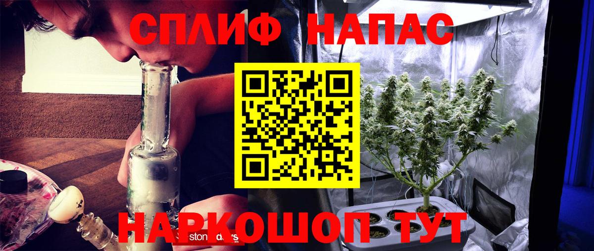 Бошки марихуана план  Бошки марихуана THC 21%  Канабис White Widow  Вход с VPN  Бошки марихуана гибрид  Новосибирск 